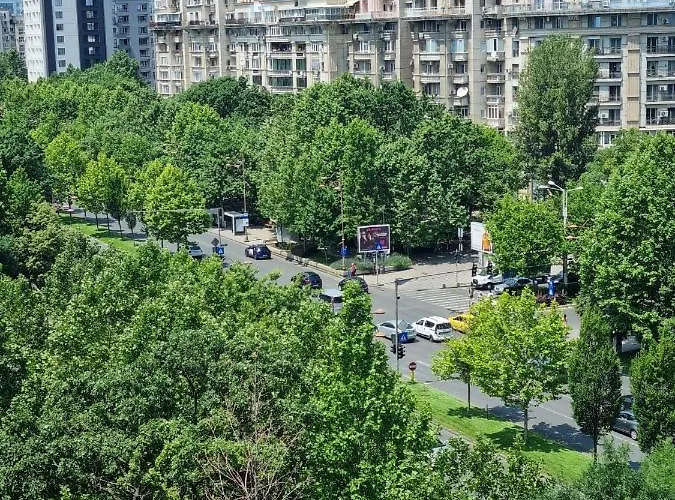Melia * Bükreş